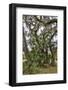 USA, Florida, Sarasota, Myakka River State Park-Hollice Looney-Framed Photographic Print