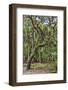 USA, Florida, Sarasota, Myakka River State Park-Hollice Looney-Framed Photographic Print