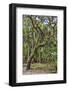 USA, Florida, Sarasota, Myakka River State Park-Hollice Looney-Framed Photographic Print