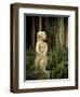 USA, Florida, Sarasota, Ringling Museum, Outdoor Sculpture Garden-Walter Bibikow-Framed Photographic Print