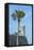 USA, Florida, St. Augustine, Castillo De San Marcos-Jim Engelbrecht-Framed Stretched Canvas
