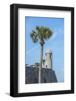 USA, Florida, St. Augustine, Castillo De San Marcos-Jim Engelbrecht-Framed Photographic Print