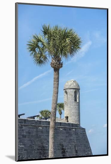 USA, Florida, St. Augustine, Castillo De San Marcos-Jim Engelbrecht-Mounted Photographic Print
