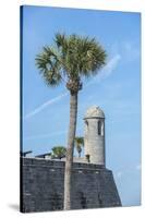 USA, Florida, St. Augustine, Castillo De San Marcos-Jim Engelbrecht-Stretched Canvas