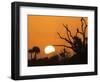 USA, Florida. Sun rising over the Orlando Wetlands Park.-Maresa Pryor-Framed Photographic Print