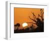 USA, Florida. Sun rising over the Orlando Wetlands Park.-Maresa Pryor-Framed Photographic Print