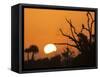 USA, Florida. Sun rising over the Orlando Wetlands Park.-Maresa Pryor-Framed Stretched Canvas