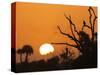 USA, Florida. Sun rising over the Orlando Wetlands Park.-Maresa Pryor-Stretched Canvas