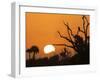 USA, Florida. Sun rising over the Orlando Wetlands Park.-Maresa Pryor-Framed Photographic Print