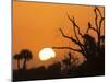 USA, Florida. Sun rising over the Orlando Wetlands Park.-Maresa Pryor-Mounted Photographic Print