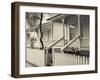 USA, Florida, Tampa, Ybor City, Cuban Heritage Area, Centennial Park, Row Houses-Walter Bibikow-Framed Photographic Print