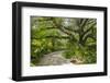 USA, Florida. Tropical garden with palm trees and living oak covered in Spanish moss.-Anna Miller-Framed Photographic Print