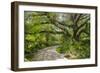 USA, Florida. Tropical garden with palm trees and living oak covered in Spanish moss.-Anna Miller-Framed Photographic Print