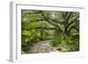 USA, Florida. Tropical garden with palm trees and living oak covered in Spanish moss.-Anna Miller-Framed Photographic Print