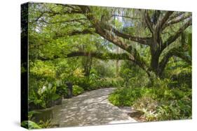 USA, Florida. Tropical garden with palm trees and living oak covered in Spanish moss.-Anna Miller-Stretched Canvas