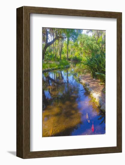 USA, Florida. Washington Oaks Gardens State Park pond.-Anna Miller-Framed Photographic Print