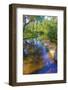 USA, Florida. Washington Oaks Gardens State Park pond.-Anna Miller-Framed Photographic Print