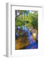 USA, Florida. Washington Oaks Gardens State Park pond.-Anna Miller-Framed Photographic Print