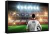 Usa Football Player Holding Ball against Stadium Full of Usa Football Fans-Wavebreak Media Ltd-Framed Stretched Canvas