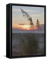 USA, Fort De Soto Park, Pinellas County, St. Petersburg, Florida. Seacoast against the sunset-Deborah Winchester-Framed Stretched Canvas