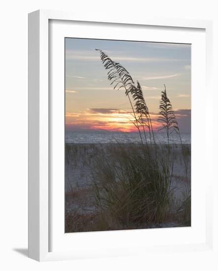 USA, Fort De Soto Park, Pinellas County, St. Petersburg, Florida. Seacoast against the sunset-Deborah Winchester-Framed Photographic Print