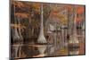 USA, George Smith State Park, Georgia. Fall cypress trees with wood duck box.-Joanne Wells-Mounted Photographic Print