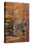 USA, George Smith State Park, Georgia. Fall cypress trees with wood duck box.-Joanne Wells-Stretched Canvas