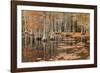 USA, George Smith State Park, Georgia. Fall cypress trees.-Joanne Wells-Framed Photographic Print