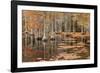 USA, George Smith State Park, Georgia. Fall cypress trees.-Joanne Wells-Framed Photographic Print