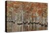 USA, Georgia, Cypress Swamp with Fall Reflections-Joanne Wells-Stretched Canvas