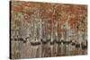 USA, Georgia, Cypress Swamp with Fall Reflections-Joanne Wells-Stretched Canvas