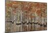USA, Georgia, Cypress Swamp with Fall Reflections-Joanne Wells-Mounted Photographic Print