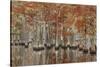 USA, Georgia, Cypress Swamp with Fall Reflections-Joanne Wells-Stretched Canvas