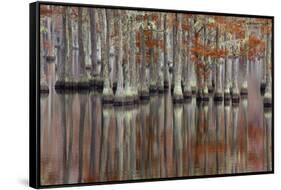 USA, Georgia, Cypress Swamp with Fall Reflections-Joanne Wells-Framed Stretched Canvas