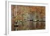 USA, Georgia, Cypress Swamp with Fall Reflections-Joanne Wells-Framed Photographic Print