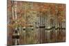 USA, Georgia, Cypress Swamp with Fall Reflections-Joanne Wells-Mounted Photographic Print