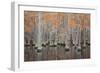 USA, Georgia. Cypress trees in the fall at George Smith State Park.-Joanne Wells-Framed Photographic Print