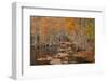 USA, Georgia. Cypress trees in the fall at George Smith State Park.-Joanne Wells-Framed Photographic Print