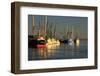 USA, Georgia, Darien. Shrimp boats docked at Darien.-Joanne Wells-Framed Premium Photographic Print