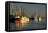 USA, Georgia, Darien. Shrimp boats docked at Darien.-Joanne Wells-Framed Stretched Canvas