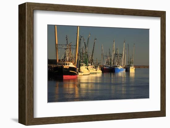 USA, Georgia, Darien. Shrimp boats docked at Darien.-Joanne Wells-Framed Photographic Print