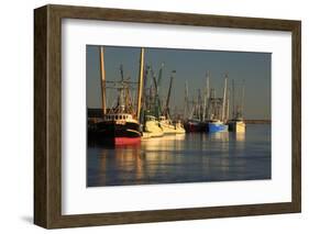 USA, Georgia, Darien. Shrimp boats docked at Darien.-Joanne Wells-Framed Photographic Print