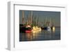 USA, Georgia, Darien. Shrimp boats docked at Darien.-Joanne Wells-Framed Photographic Print