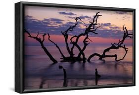 USA, Georgia, Jekyll Island, Driftwood Beach at Sunrise-Joanne Wells-Framed Photographic Print