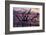 USA, Georgia, Jekyll Island, Driftwood Beach at Sunrise-Joanne Wells-Framed Photographic Print