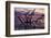 USA, Georgia, Jekyll Island, Driftwood Beach at Sunrise-Joanne Wells-Framed Photographic Print