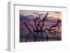 USA, Georgia, Jekyll Island, Driftwood Beach at Sunrise-Joanne Wells-Framed Photographic Print