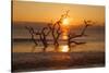 USA, Georgia. Jekyll Island, Driftwood Beach at sunrise.-Joanne Wells-Stretched Canvas