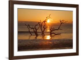 USA, Georgia. Jekyll Island, Driftwood Beach at sunrise.-Joanne Wells-Framed Photographic Print