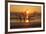 USA, Georgia. Jekyll Island, Driftwood Beach at sunrise.-Joanne Wells-Framed Photographic Print